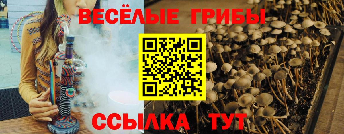 Псилоцибиновые грибы Magic Shrooms Балаково